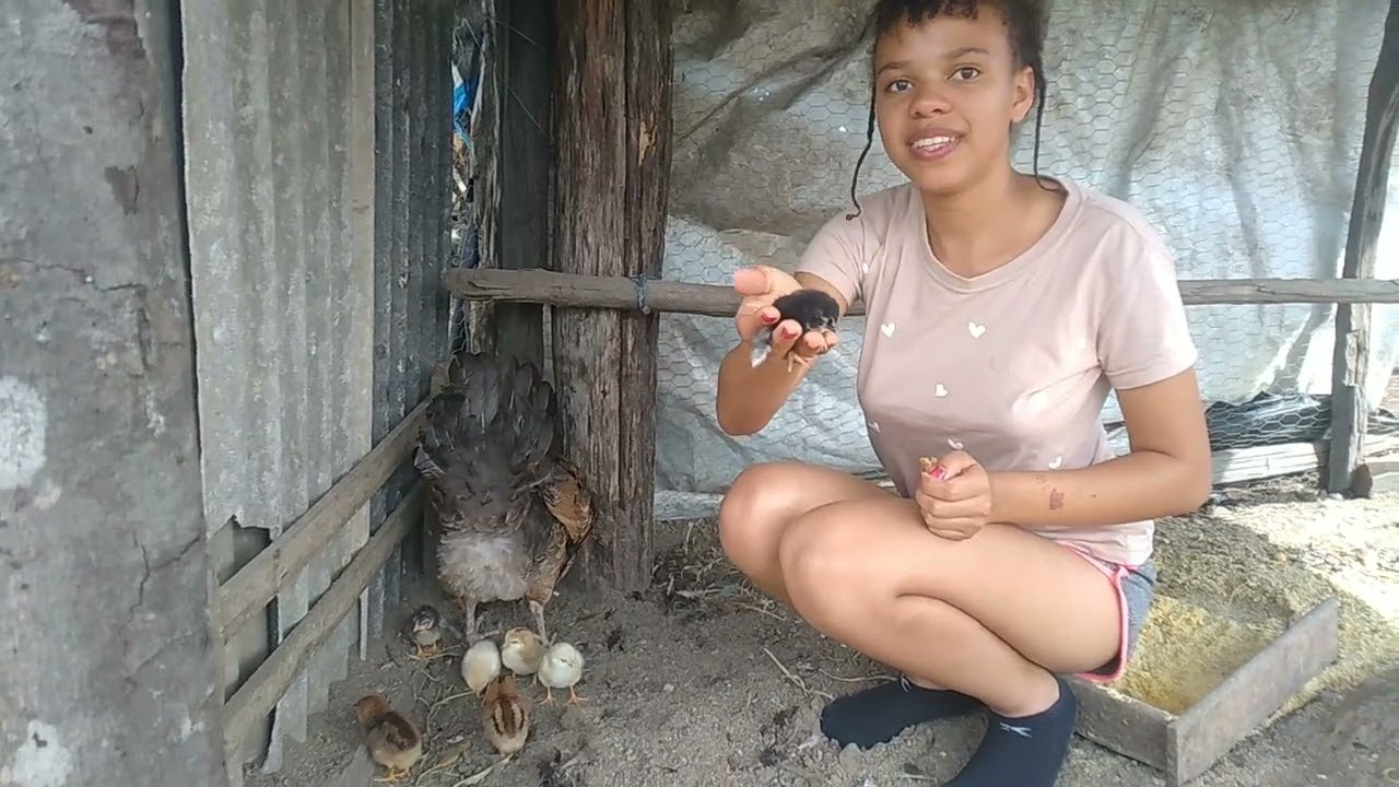Bom dia galerinha