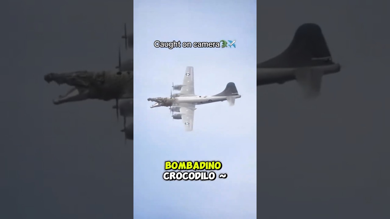 🛩️🐊Bombardiro Crocodilo Caught on camera!