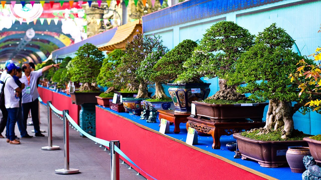 Bonsai Exhibition Vietnam -15th ASPAC - (Asia Pacific Bonsai And Suiseki Bonsai Exhibition) Part 1
