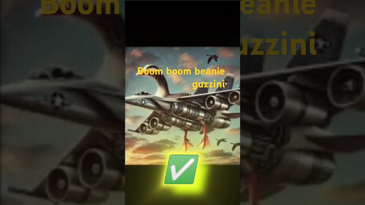 boom boom beanie guzzini ✈️🦆✈️🦆✈️🦆✈️🦆😂♥️😂♥️😂♥️