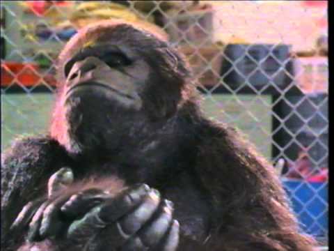 Born To Be Wild - VHS Commercial - 1995