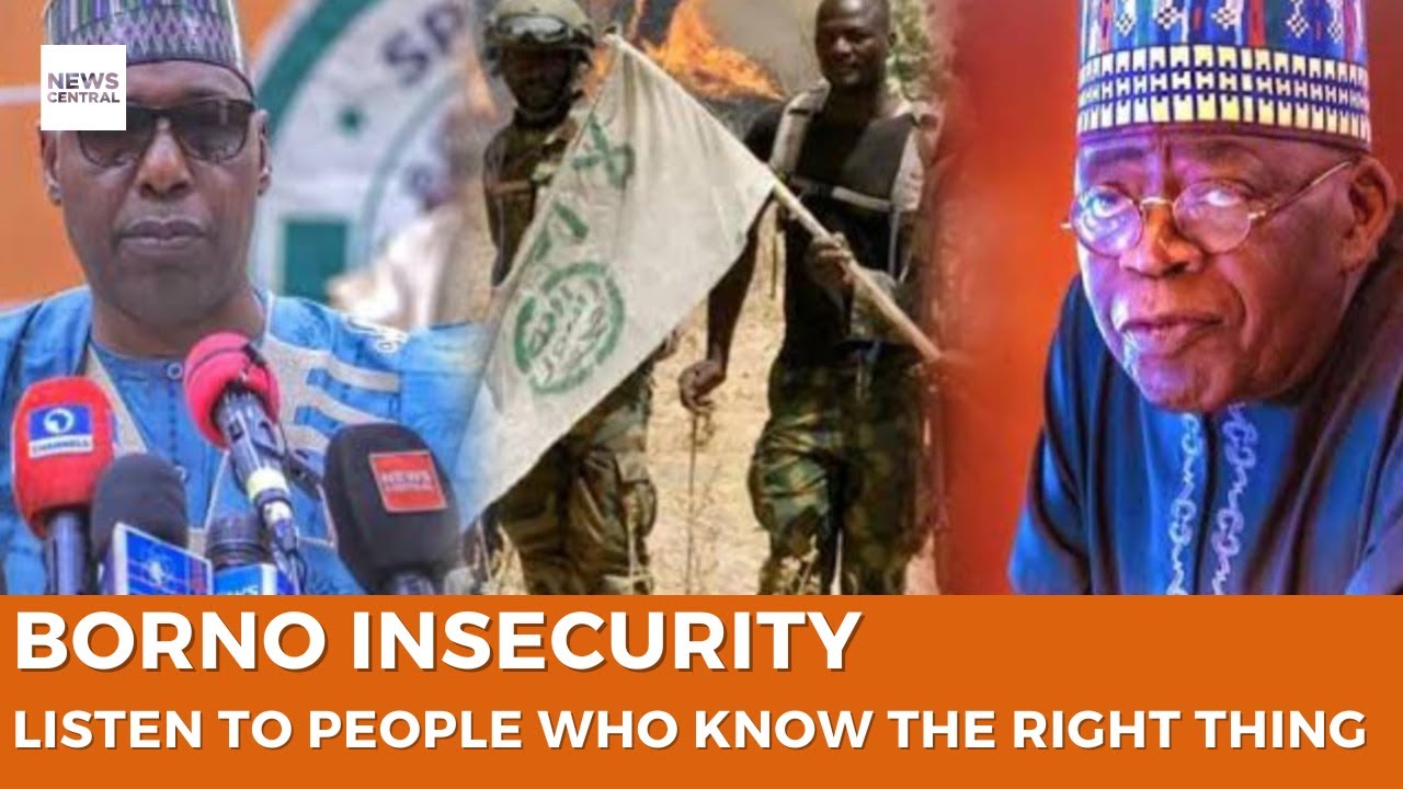 Borno Insecurity: Listen To People Who Know The Right Thing - Zulum To Tinubu