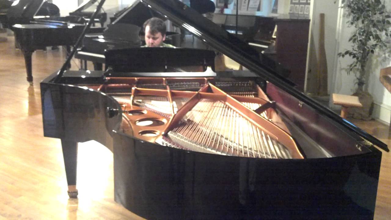 Bosendorfer 225 - 7'4 with 92 keys