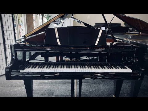 Bosendorfer Model 225 7'4