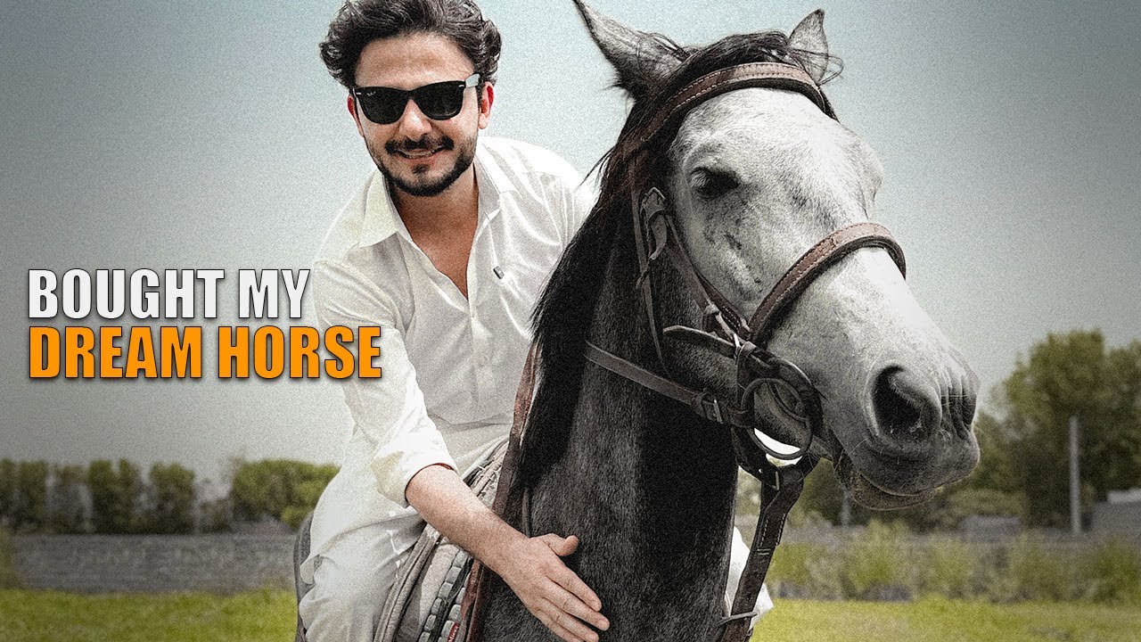 Bought my DREAM HORSE | Ukhano | vlog