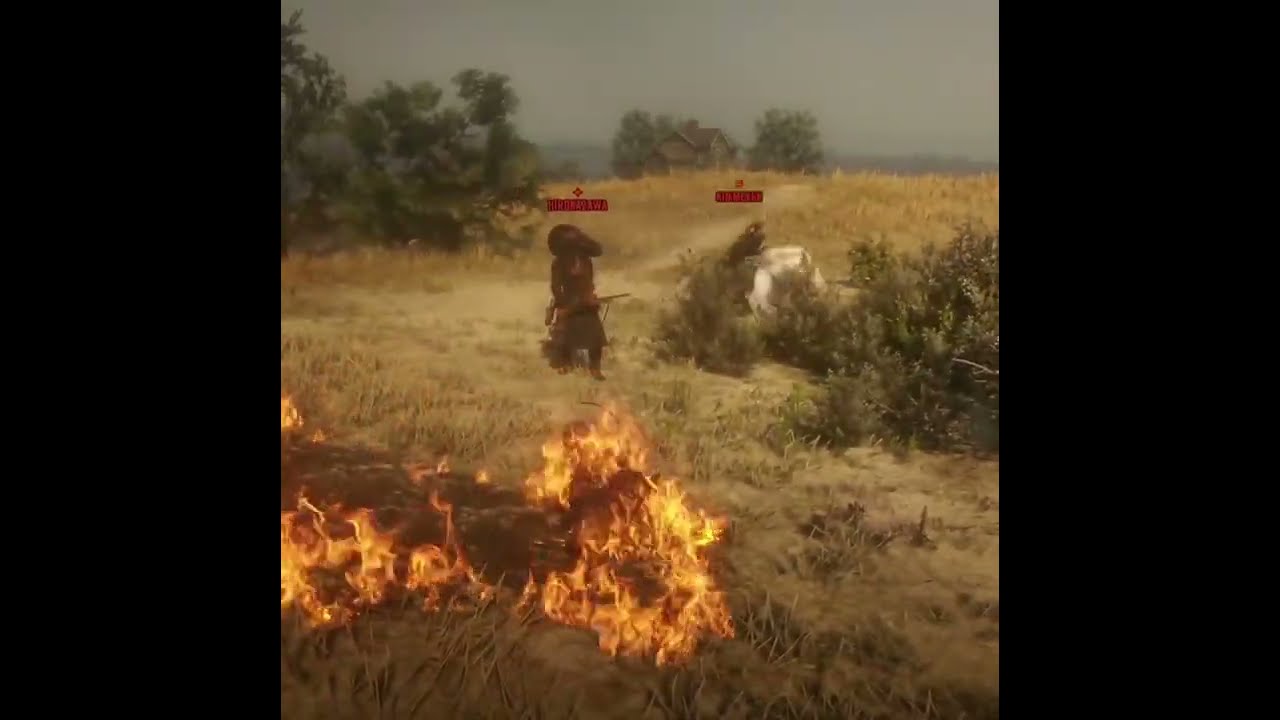 Bounty hunters catch and burn me (Red Dead Redemption 2: Online)