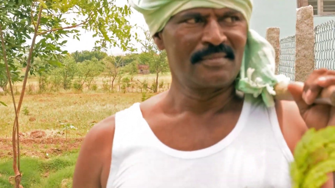 Bowtham Album Song Into