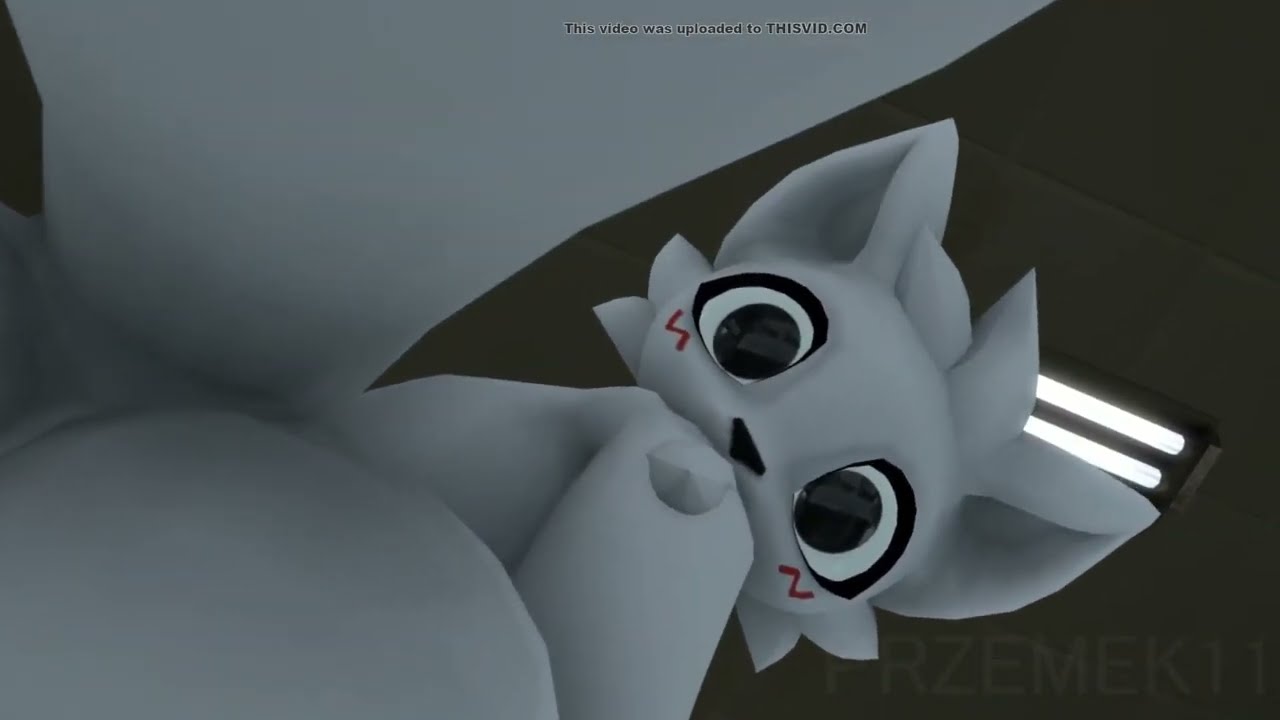 Boykisser farts