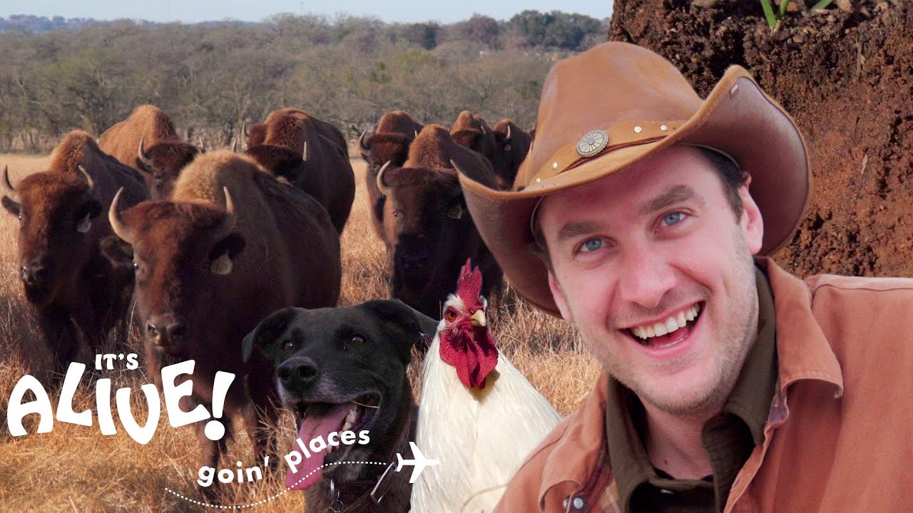Brad Goes Ranching in Texas | It's Alive: Goin' Places | Bon Appétit
