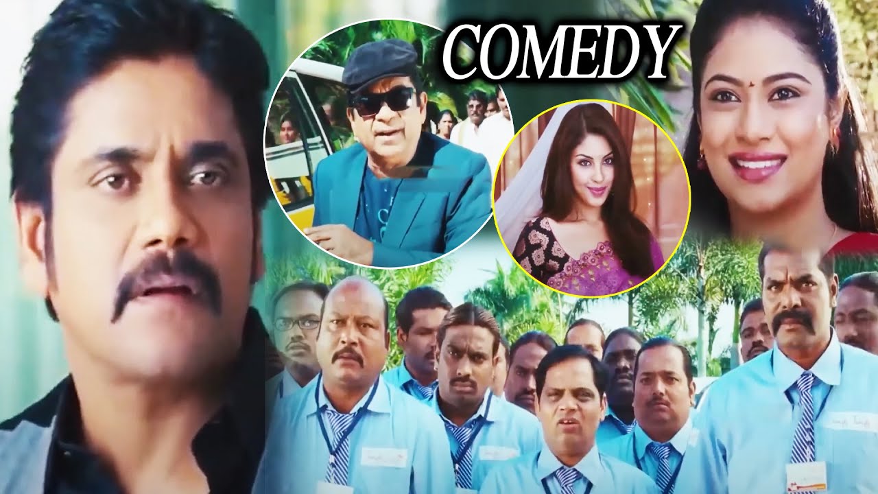 Brahmanandam And Nagarjuna Hilarious Comedy Scene || Bhai Telugu Movie Scenes || Multiplex Telugu