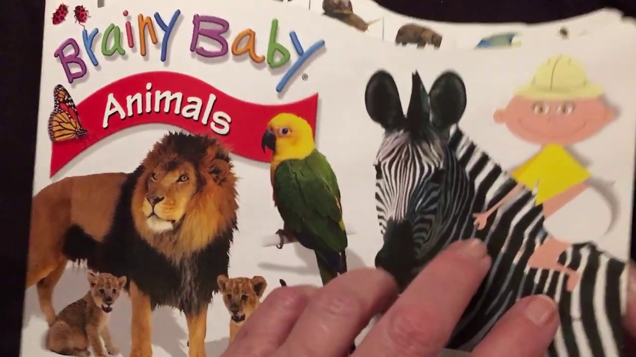 Brainy Baby Animals Read by dee downey