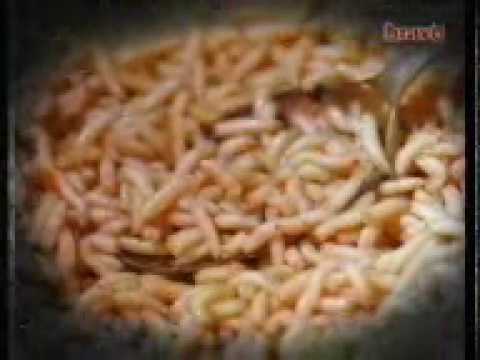 Bravo Maggots Ident