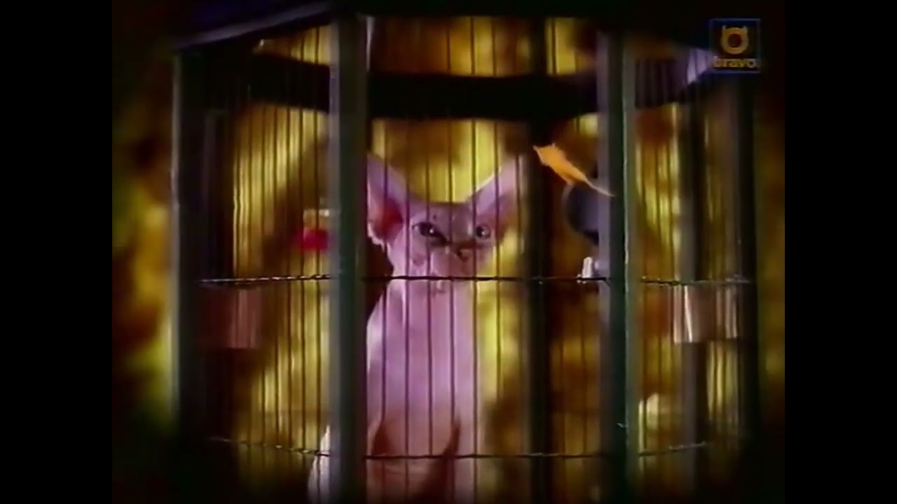 Bravo (UK) - Cat in a Bird Cage - 1998