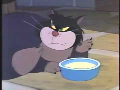 Breakfast time