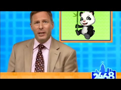 Breaking News: Lost Panda 🐼 | Team Umizoomi Compilation Video (8,000 Subscribers Celebration)