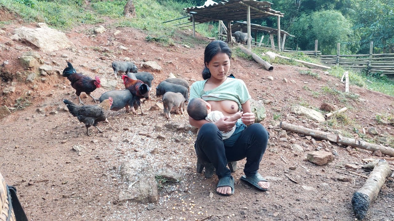 Breastfeeding | Daily Life on a Pig and Chicken Farm in Vietnam
