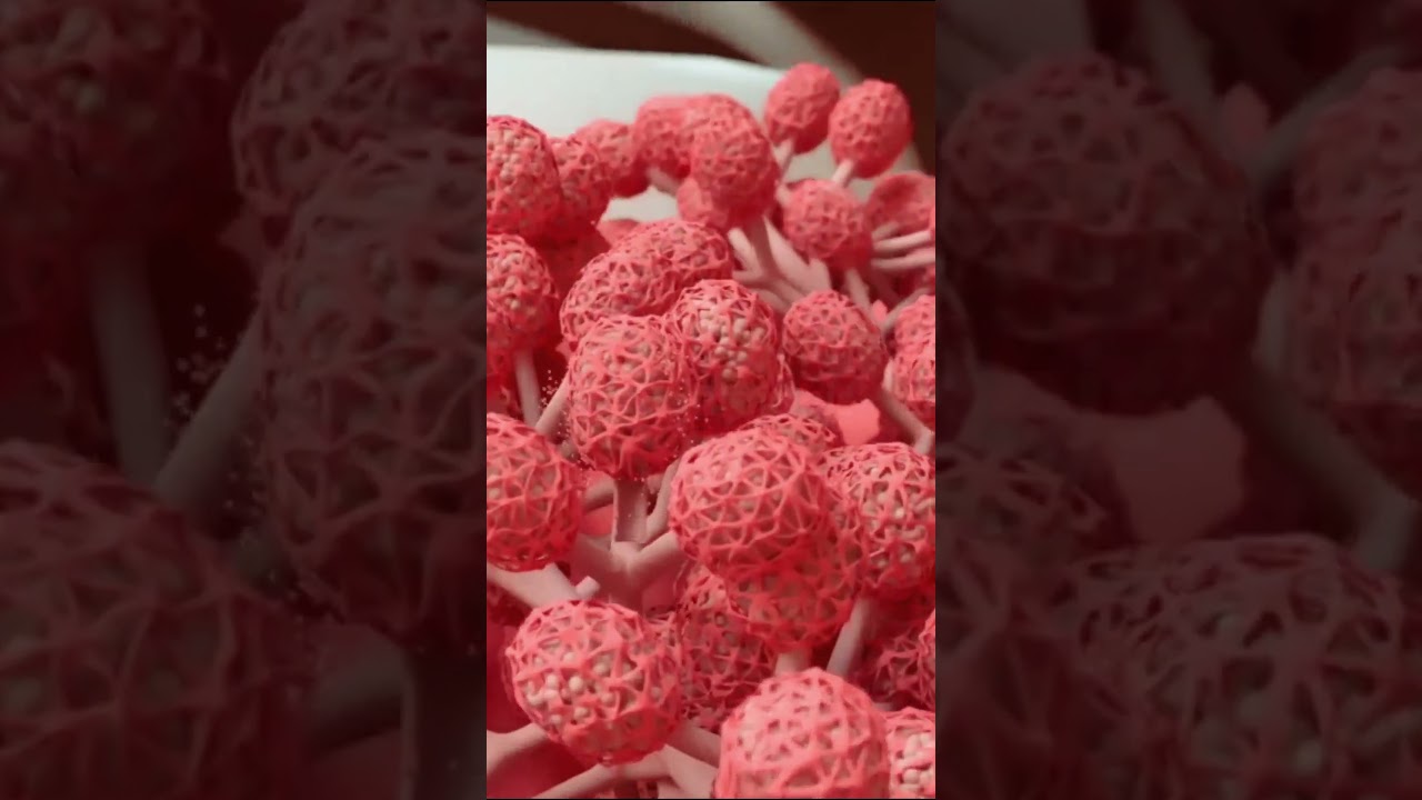 Breastfeeding process in 3D! 🤱🏻 Breastfeeding Techniques in newborns 🍼 #breastfeeding #3danimation