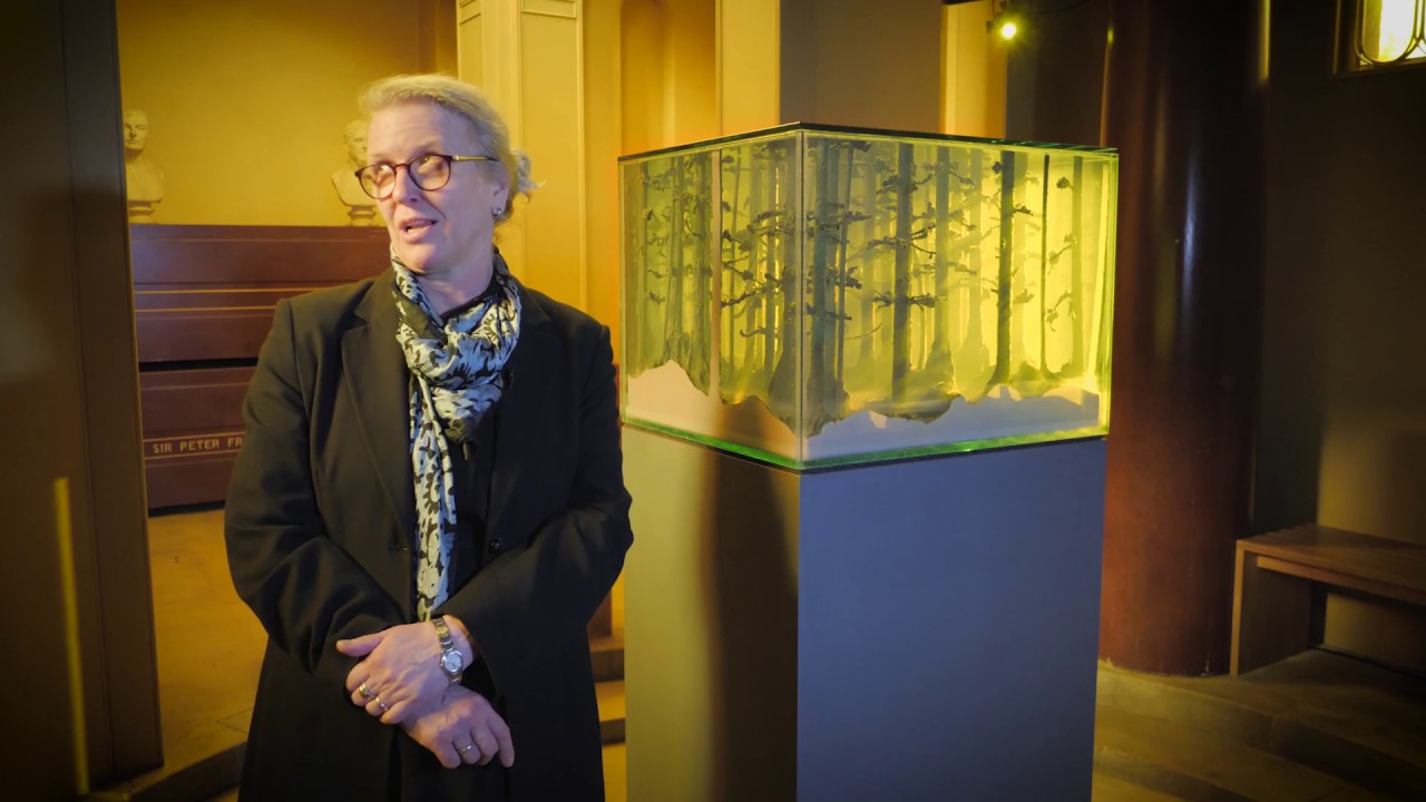 Breathing Yellow: a new installation by Mariele Neudecker