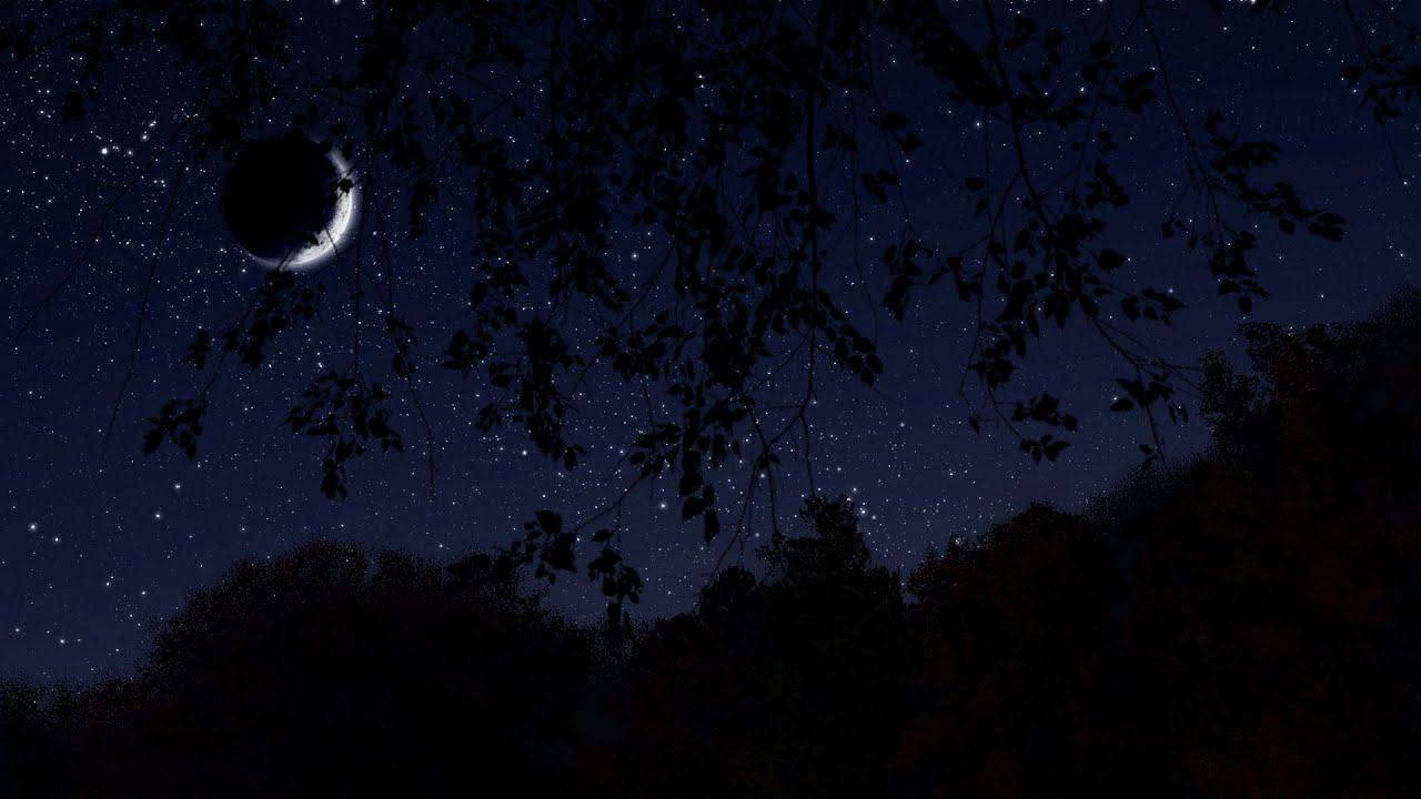 Breezy Autumn Night | Binaural Nighttime Fall Ambience | 10 Hours | Nature Sleep Sounds