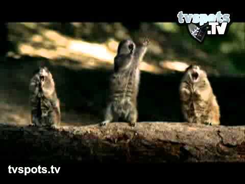 bridgestone - scream