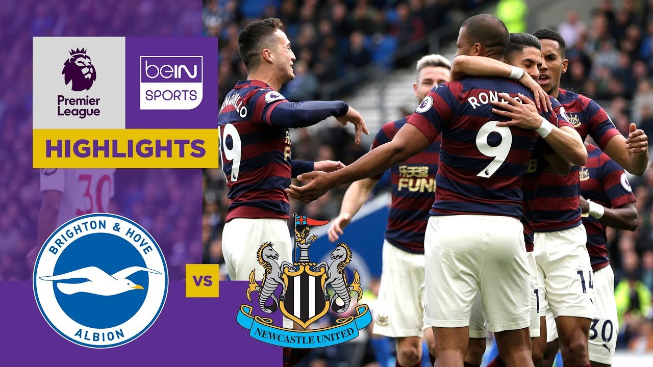 Brighton 1-1 Newcastle Match Highlights