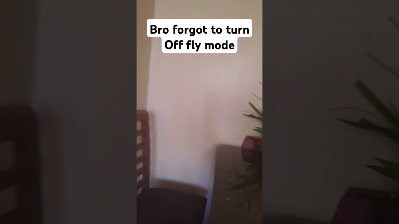 bro forgot to turn off fly mode