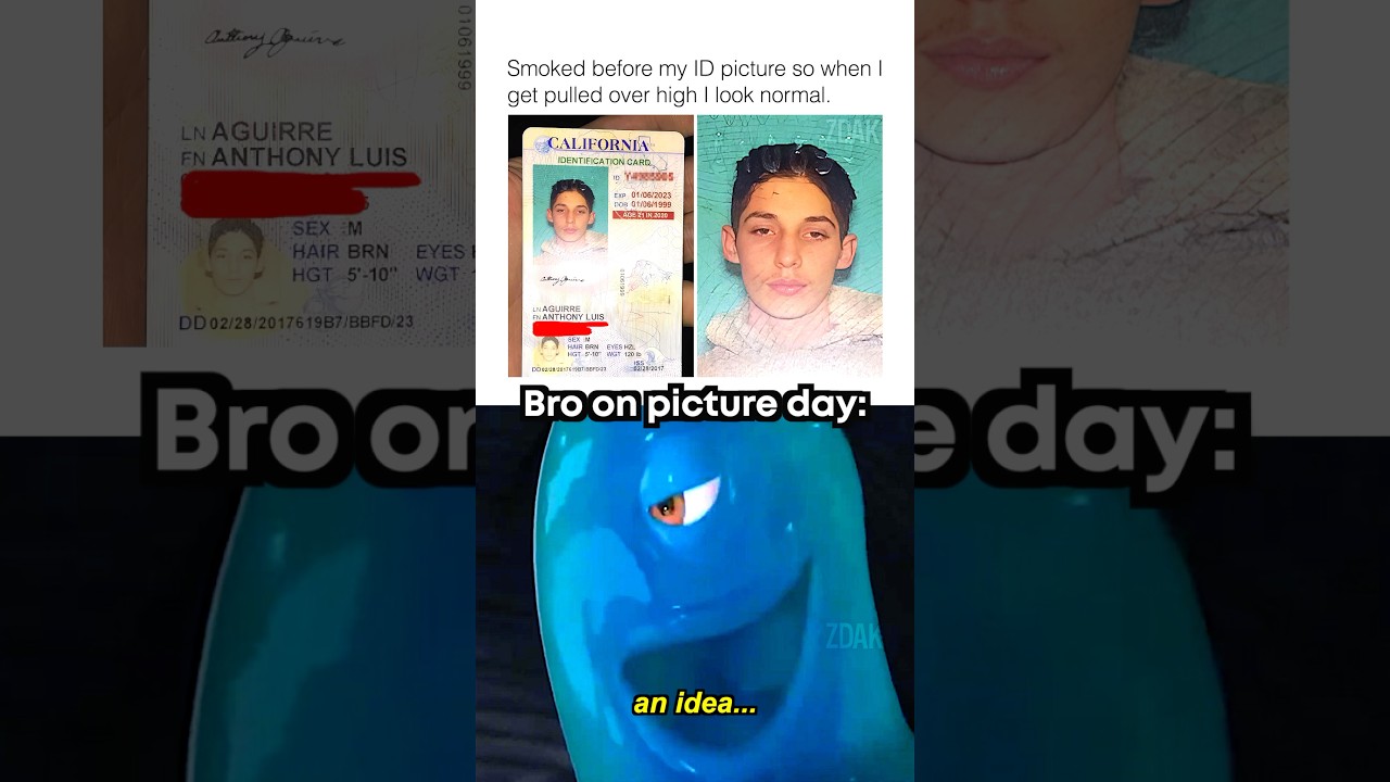 Bro is a genius 💀