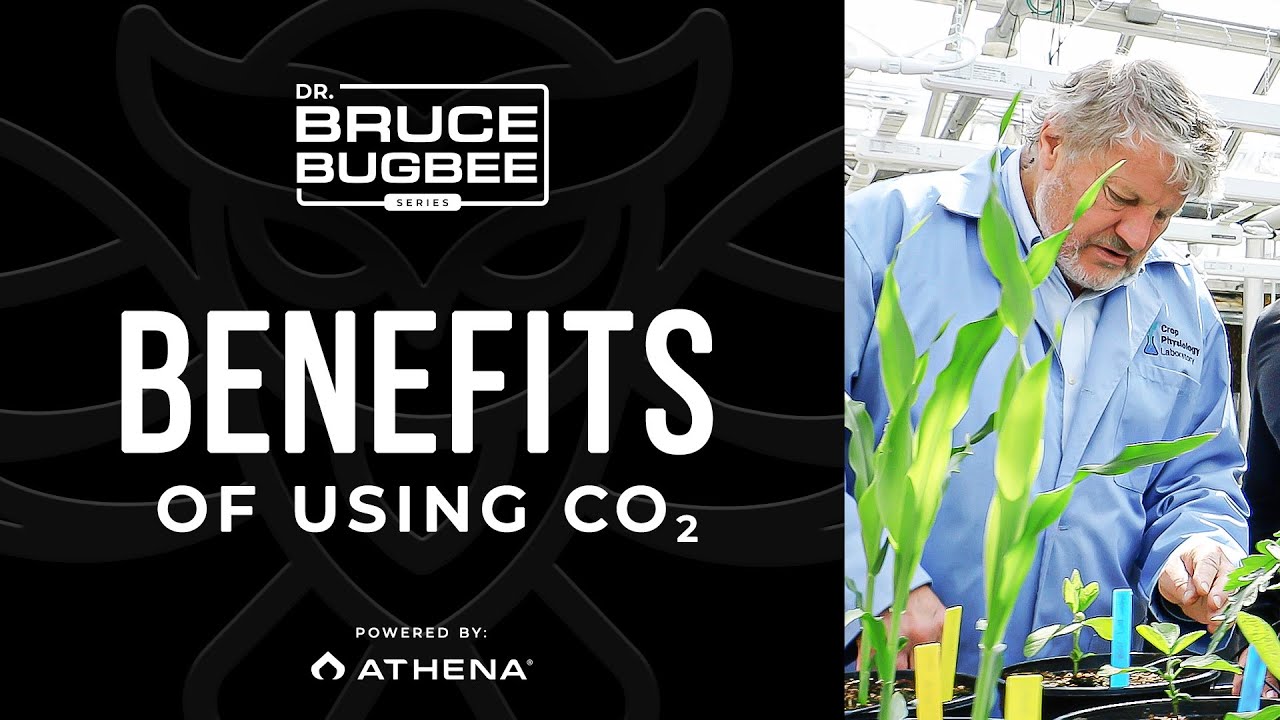 Bruce Bugbee Series – Benefits of CO2