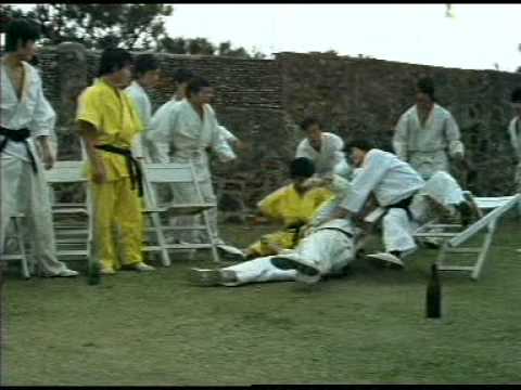 Bruce Lee (Türkçe)