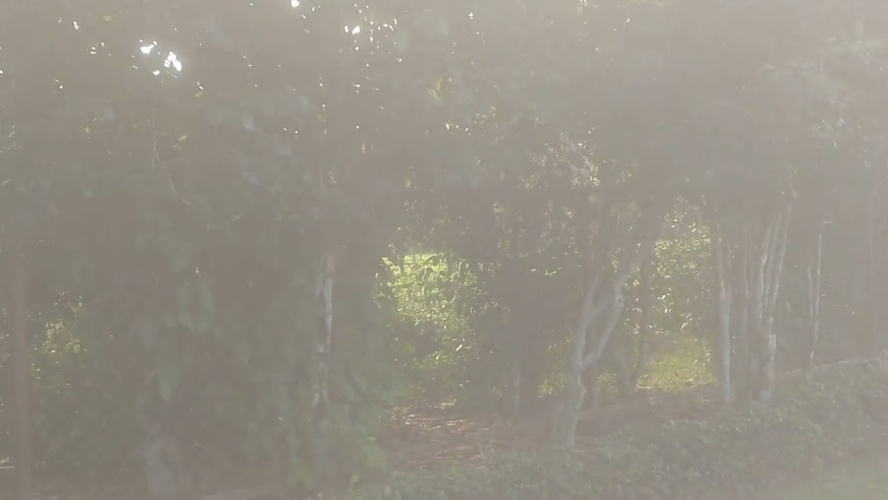 BTRI Guest house