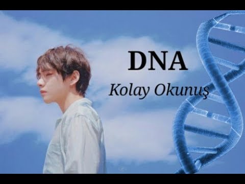 BTS - DNA Kolay Okunuş  (Easy Lyrics)