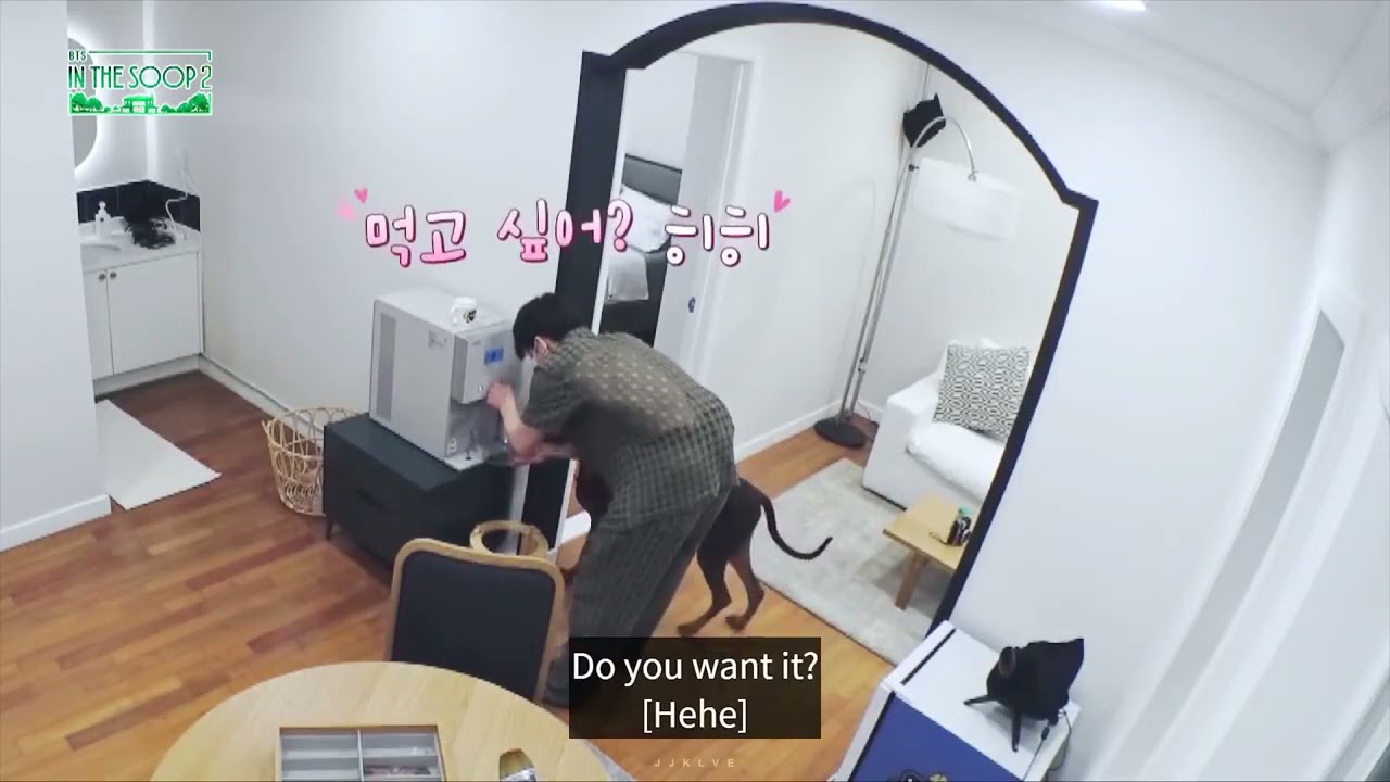 bts in the soop2 jungkook with his dog(jeon bam) sweet moments:)