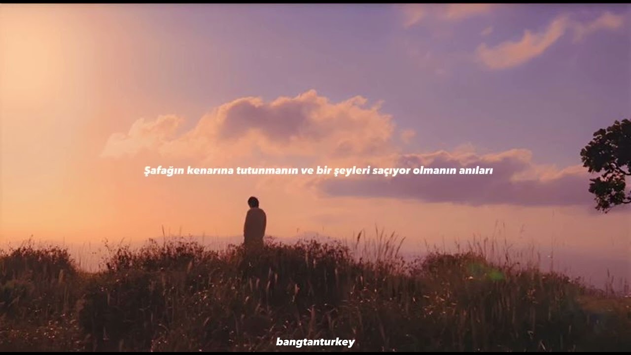 (BTS) Rm _WILD FLOWER_ [Türkçe Çeviri] {bangtanturkey}