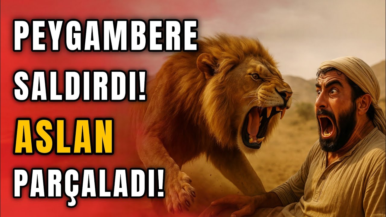 BU AİLEYE LANET YAĞDI! EBU LEHEB'İN EŞİ VE OĞLU'NUN HELAK OLUŞU