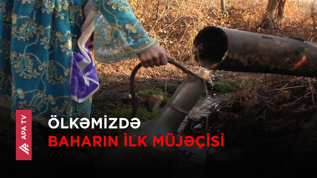 Bu gün Novruzun ilk çərşənbəsidir – APA TV