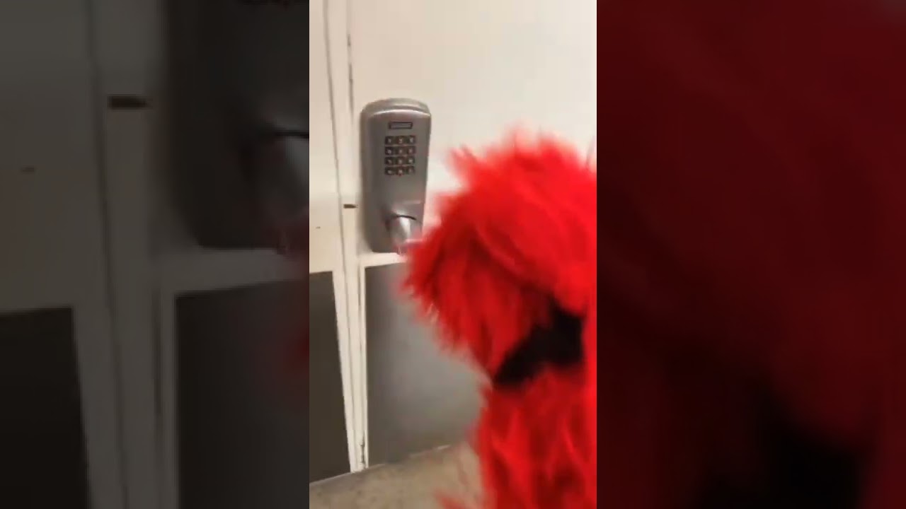 Bu kapı niye kapalı yaaa off