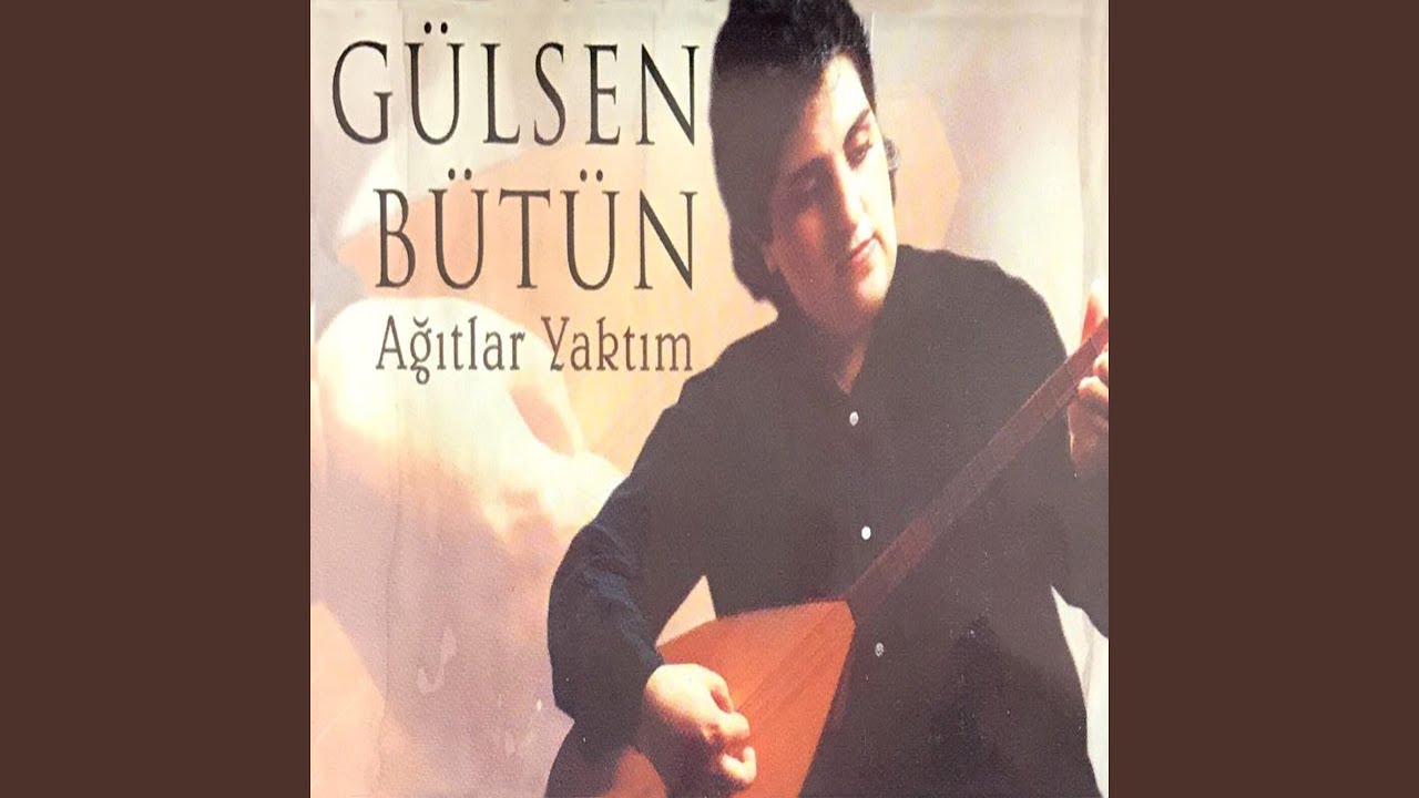 Bu Ne Şivandır