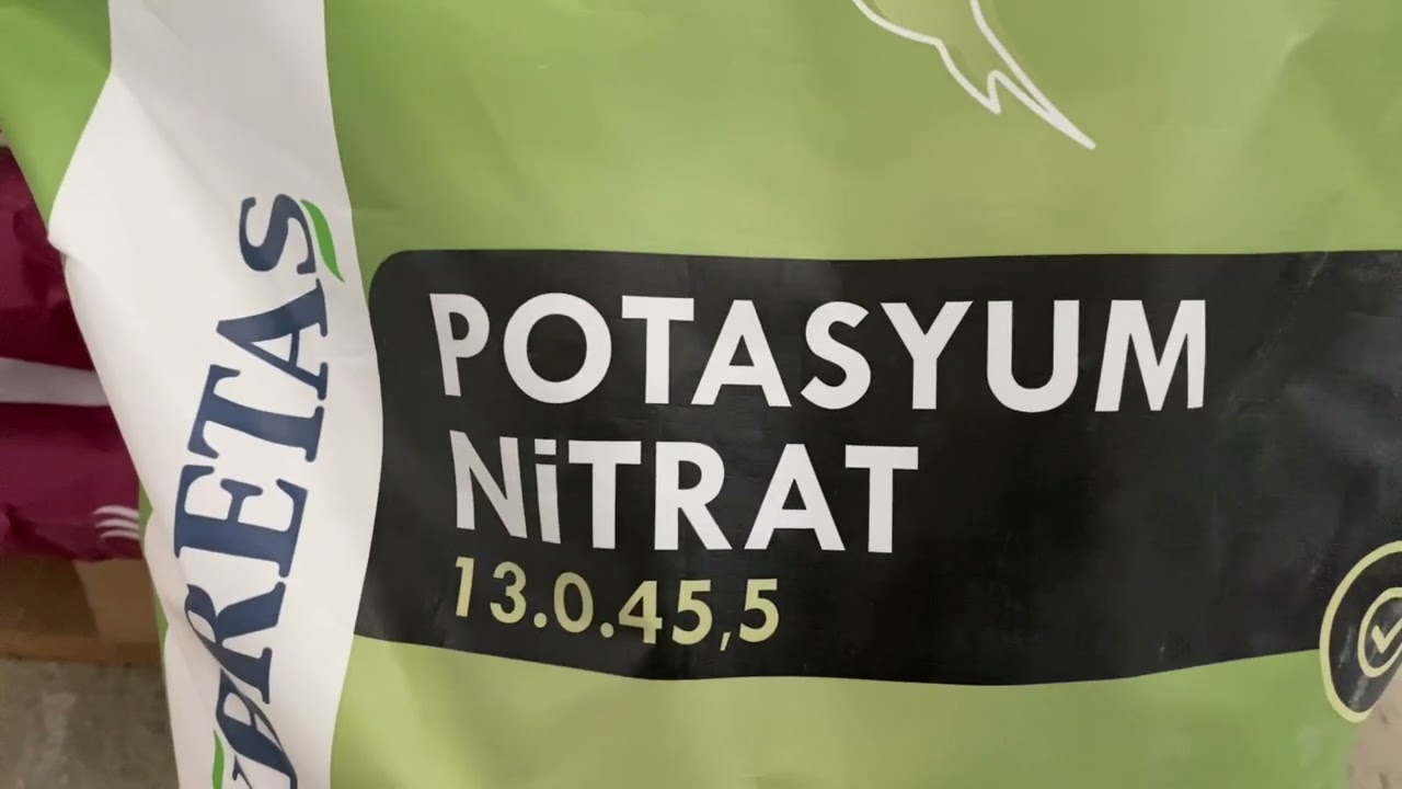 Buğdayda potasyum Nitrat kullanımı hangi dönemde kullanılır dekara kaç kg atılır
