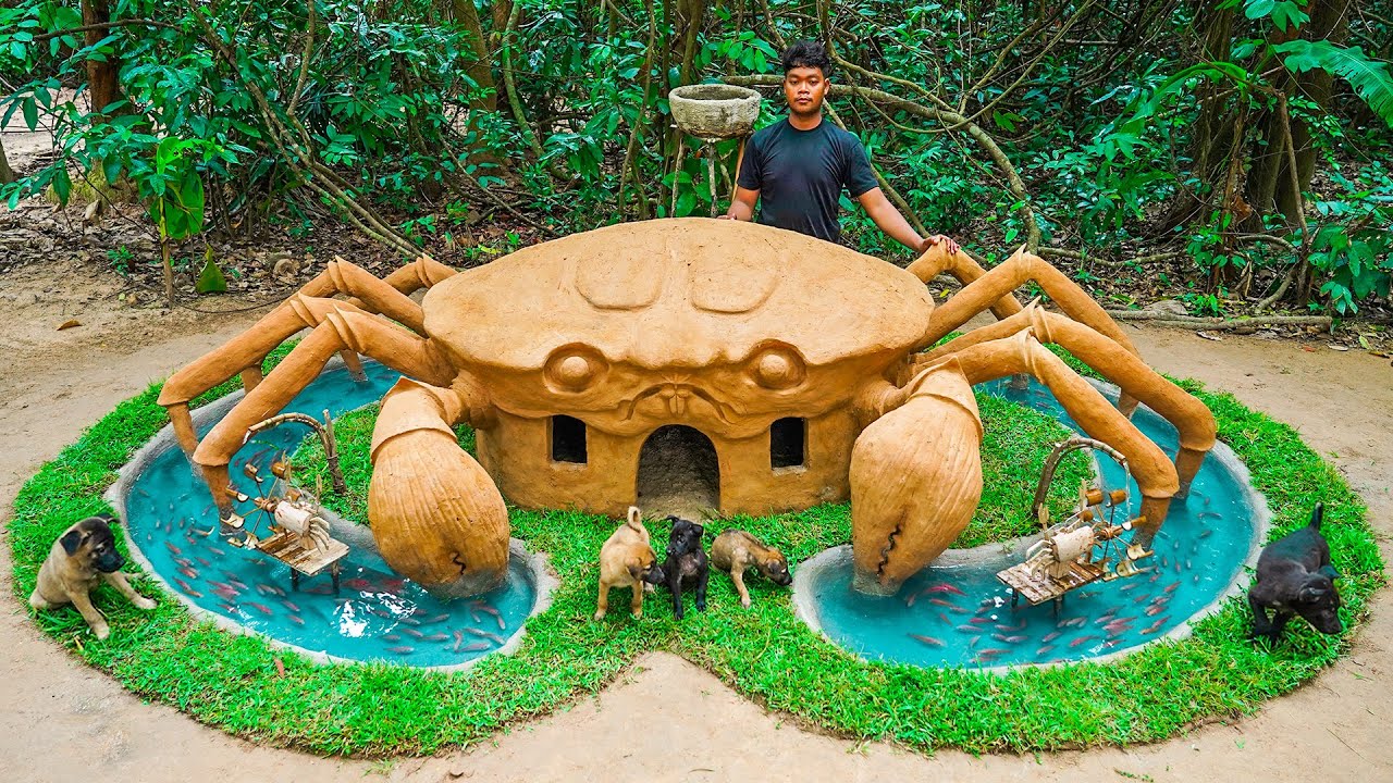 Build Dog House for Puppies in the Crab mud house surrounded by fish pond