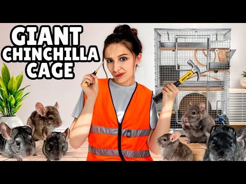 Building the ULTIMATE chinchilla cage!! ￼ ￼ ￼