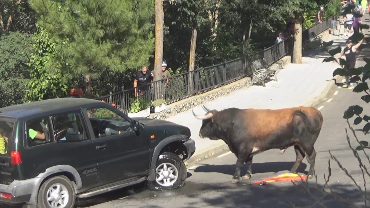 Bull Destroys 4x4 || ViralHog