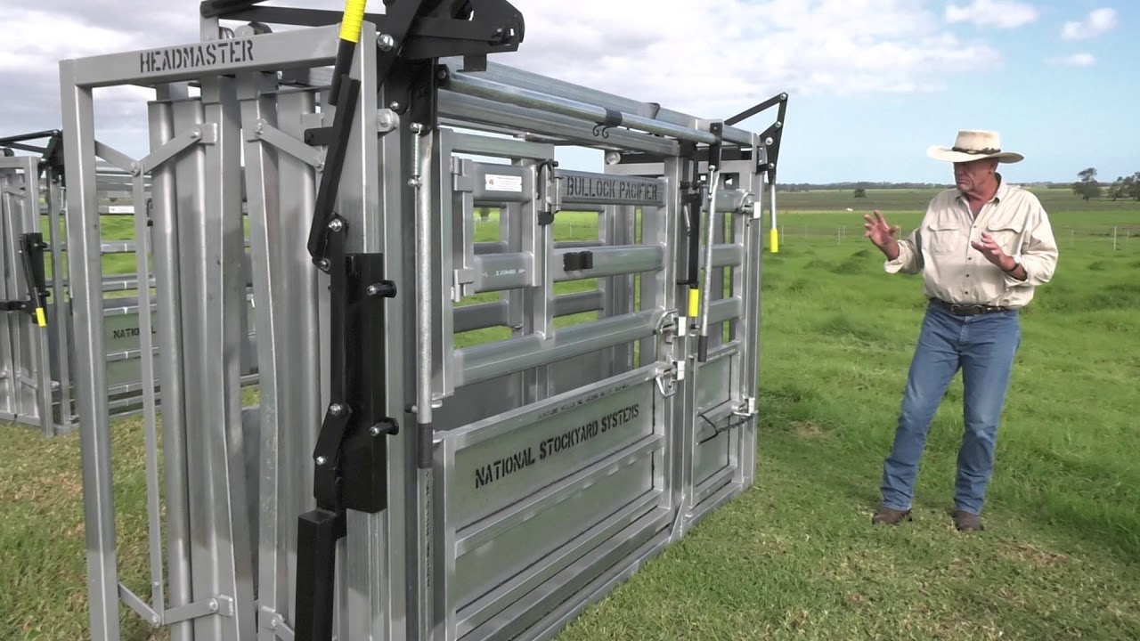 Bullock Pacifier Cattle Crush - National Stockyard Systems