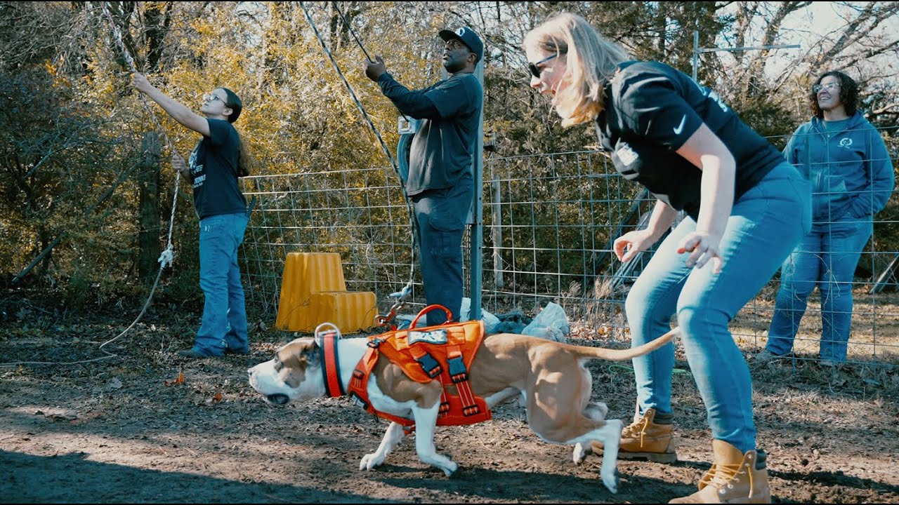 Bully Max Sports | Ep. 3 | Champion APBT Breeder