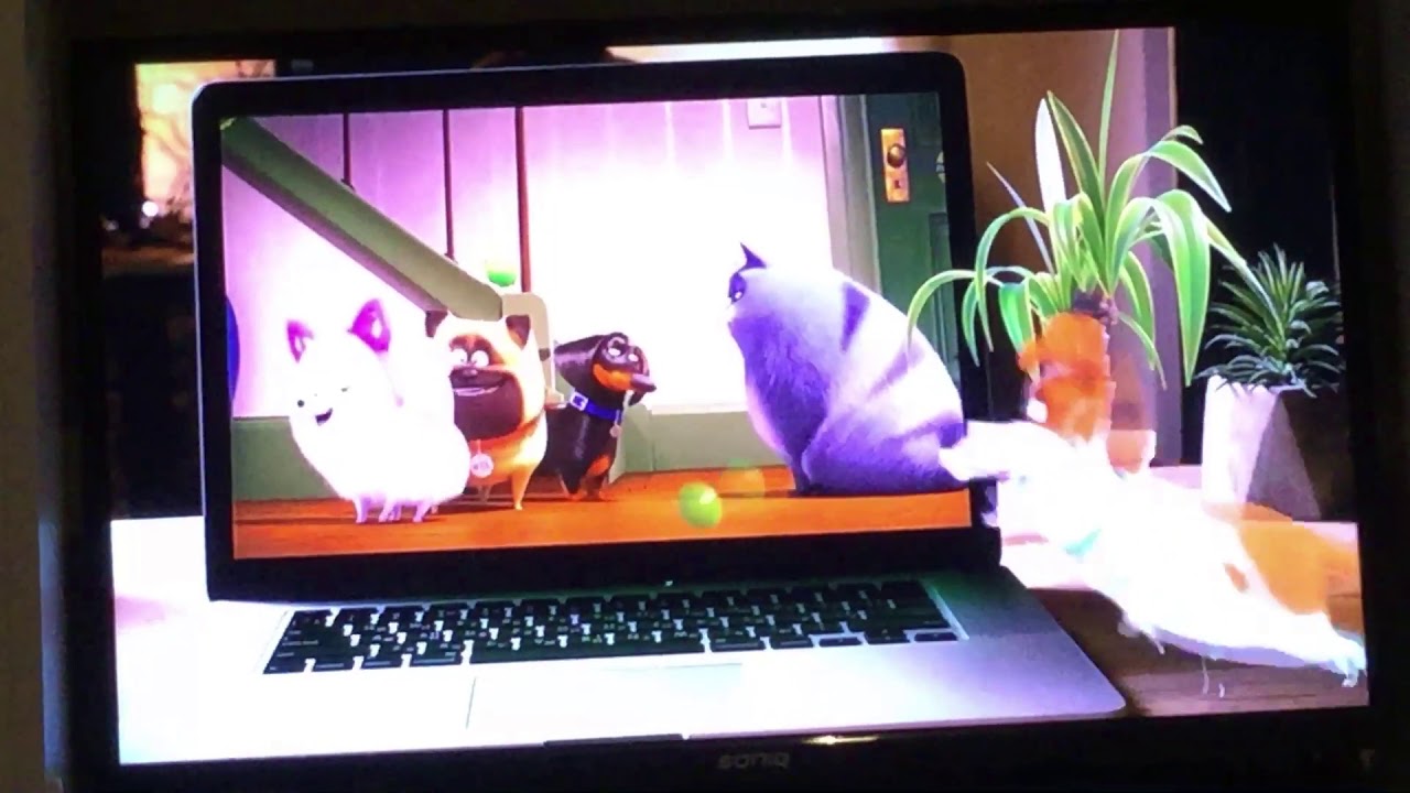 Bumblebee Foxtel Movies Hits Intro