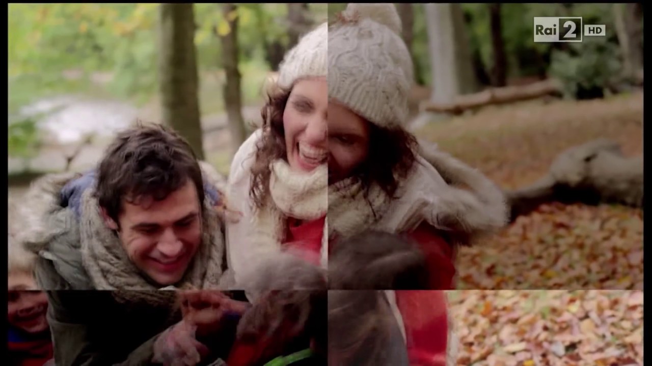 Bumper Rai 2 (2015/2016)