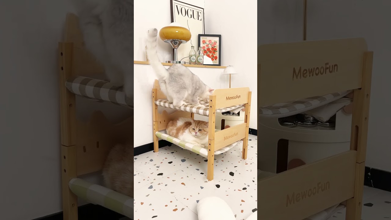 Bunk Cat Bed: Perfect for Cat Families | Space Saving Cat Furniture  #roomdecor #cat
