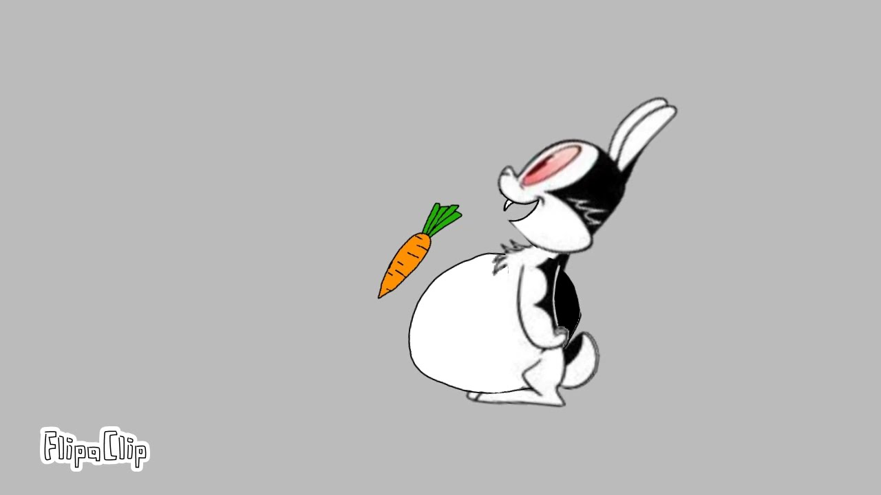 Bunnicula Expansion