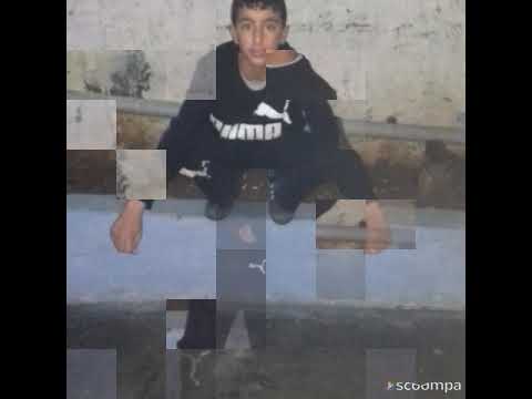 BURASI BACILAR