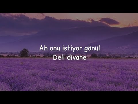 buray // deli divane (sözleri/lyrics)