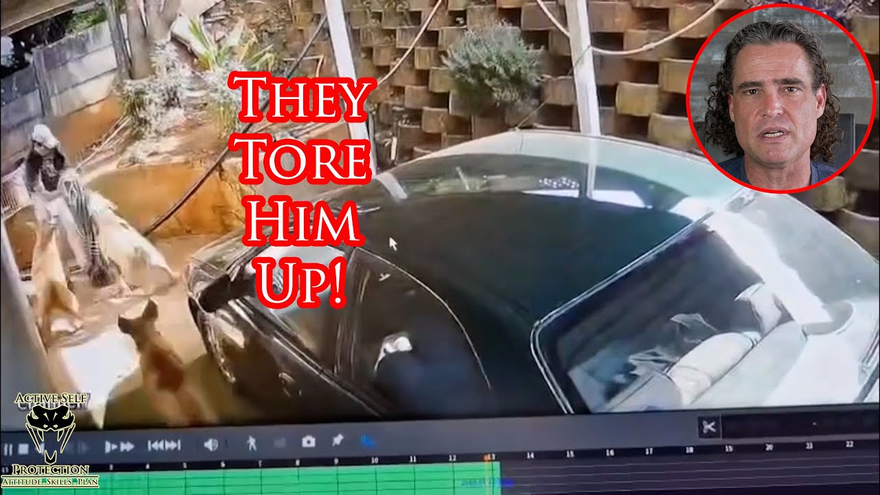 Burglar Wasn't Counting On Protective Dogs To Meet Him